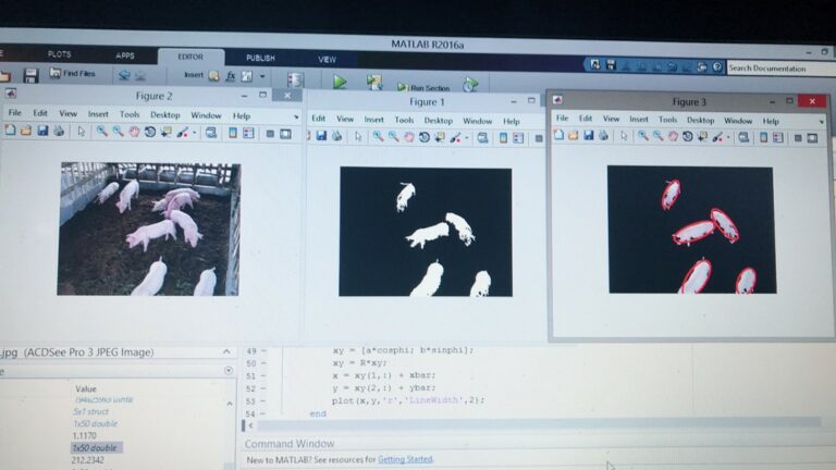 รับเขียนโปรแกรม เชื่อมต่อกับ Image processing ด้วย Python